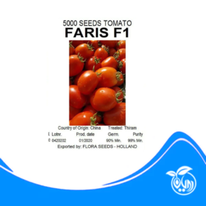 بذر گوجه فرنگی فاریس f1