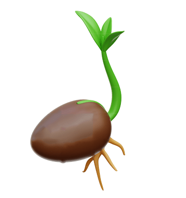 بذر 