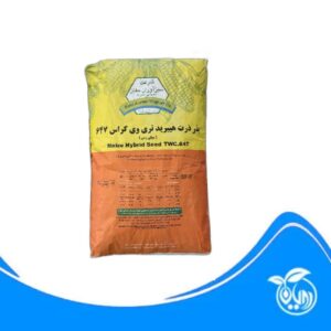 بذر ذرت هیبرید تری وی کراس 647 ( میان رس ) سبز آوران مغان ( کیسه 25 کیلویی )
