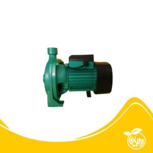 موتور پمپ بشقابی ( الکتروپمپ بشقابی ) تایفو مدل TAIFU TCP158